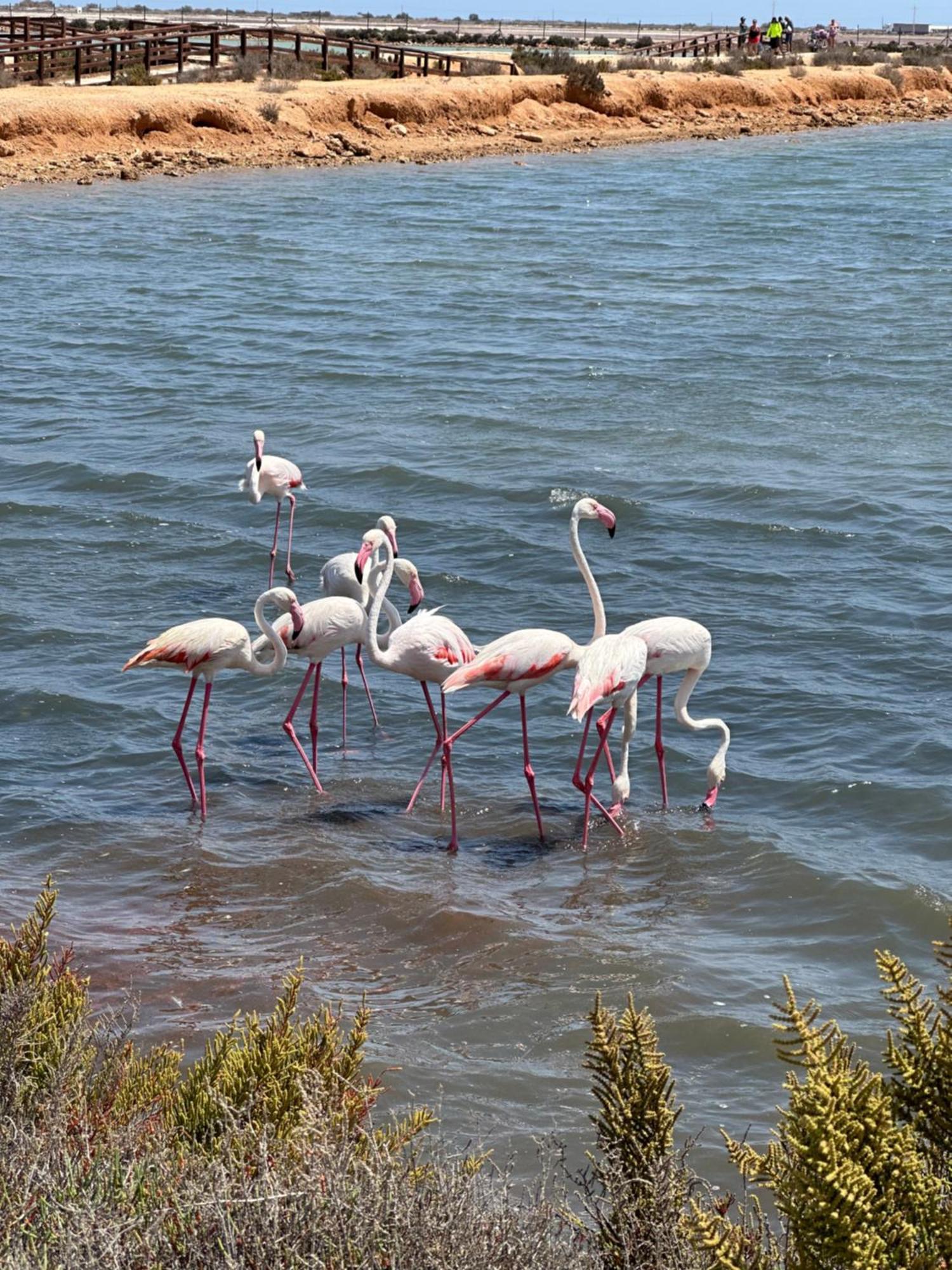 Sunny Paradise By Los Pinos Holidays San Pedro del Pinatar Bagian luar foto